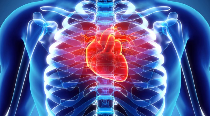 Health: Risk Factors For Premature CVD Mortality